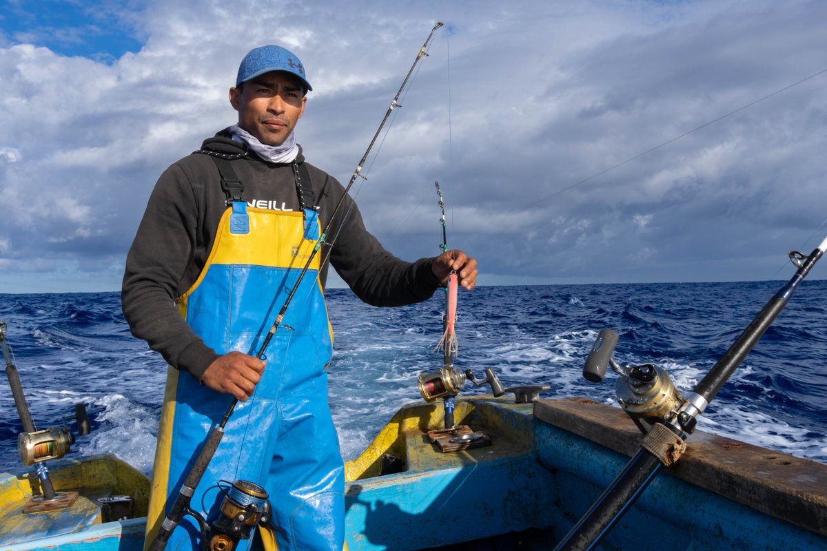 Global Fishing Watch tweet media
