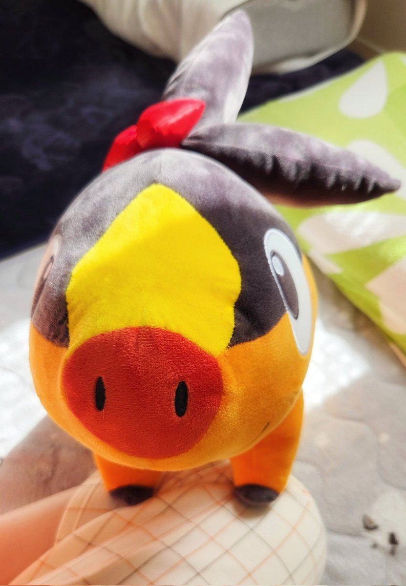 おそよ〜(* ⌯ˬ⌯).⋆*🔆

「かぶー！」

ありゃポカプリオ〜
お腹空いたね〜

#ポカブ #ポケモンのいる生活