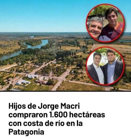 Peluca Telefónica tweet media