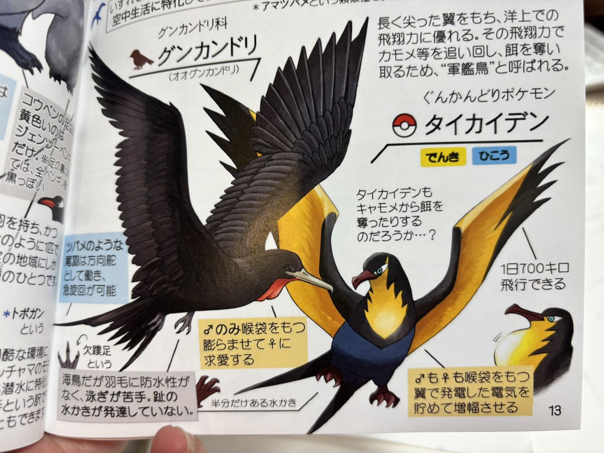 届いた。これはやばい。
めちゃくちゃな熱量と丁寧さで作られた鳥ポケモン同人。鳥好き、ポケモン好きはまじでなくらないうちに買ったほうがいい。まじですごい。ヤバい。
つか、アチャモのオスの黒点（ひよこの雌雄判別ネタ）初めて知ったんだけど！不覚！！