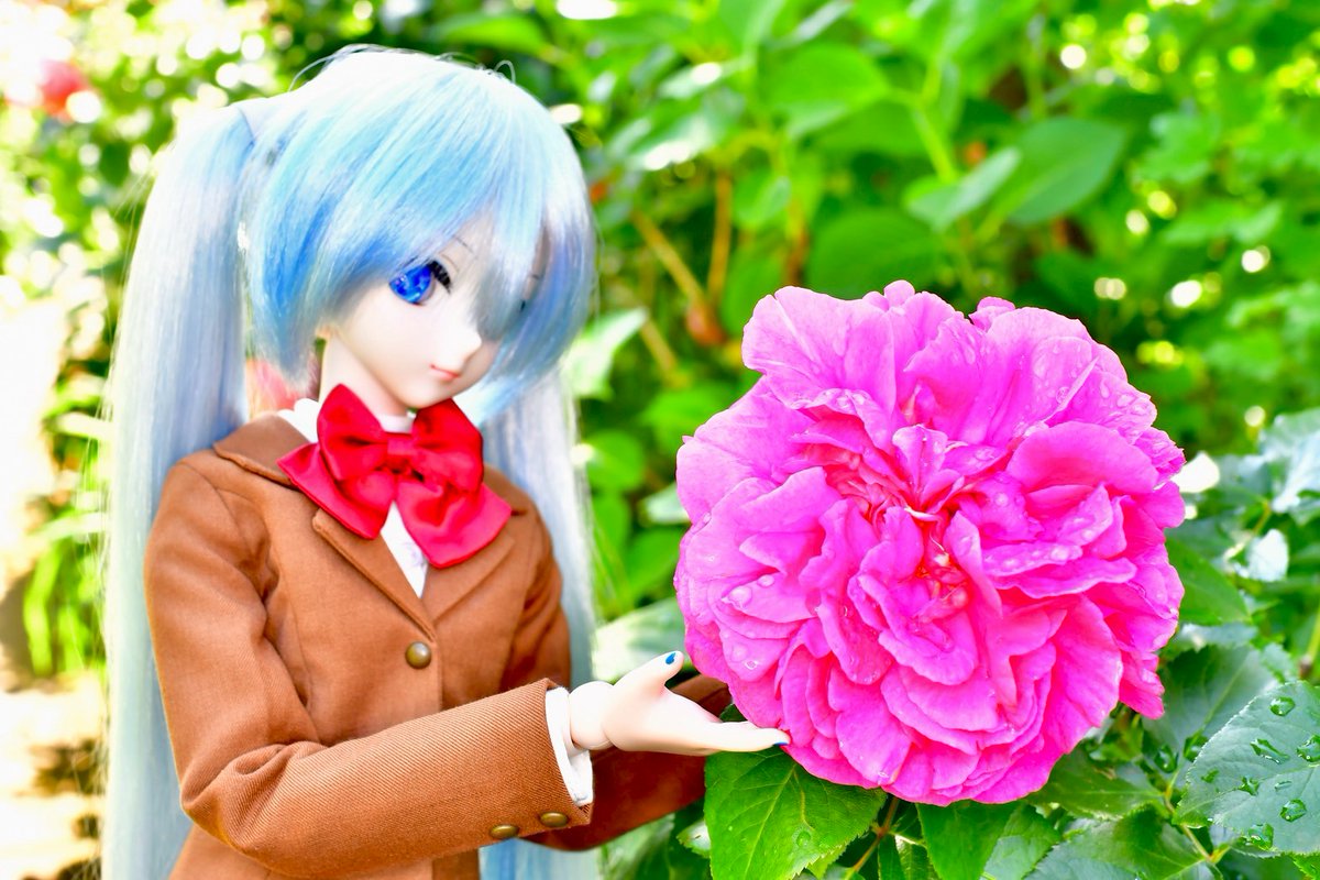 きょん tweet media