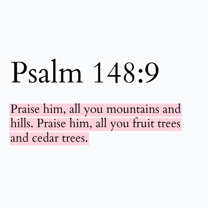 Holy Bible tweet media