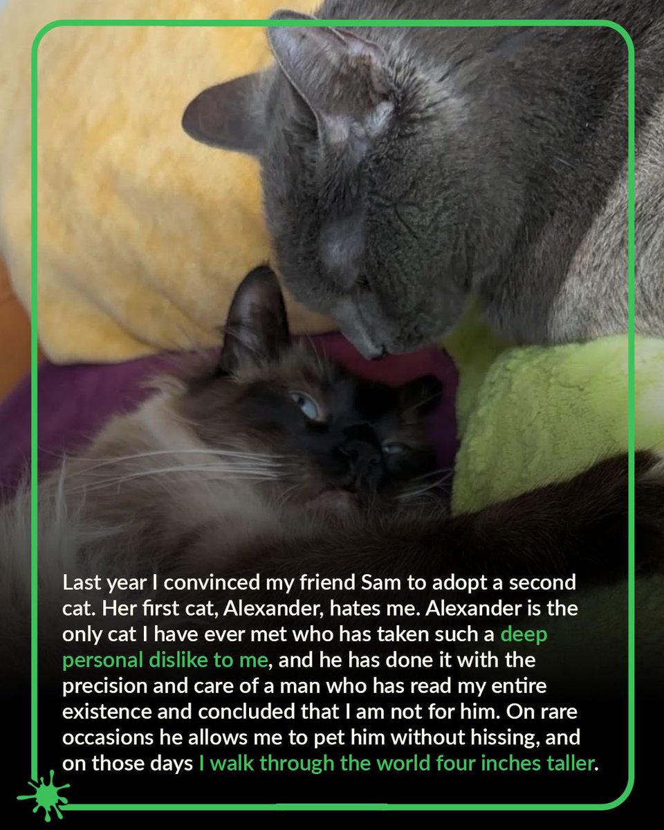 Film Slop tweet media