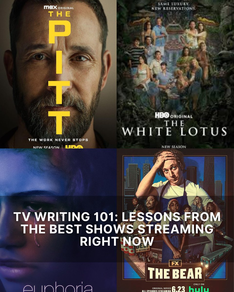 Shore Scripts tweet media