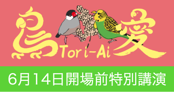 鳥爺本舗 tweet media