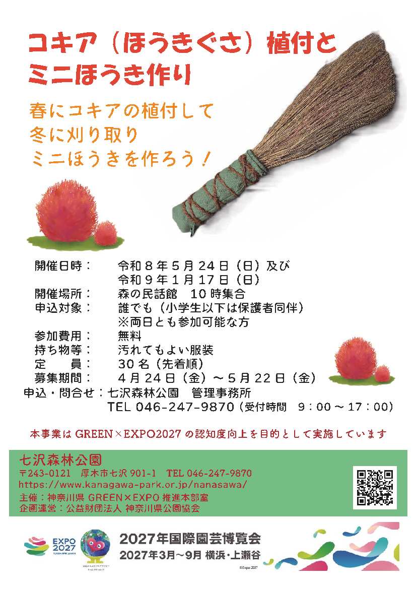 コキアで「ミニほうき作り」を体験してみませんか。　
５月にコキアの苗を植えて秋の紅葉を楽しんだあと、
１月に枯れたコキアで「ミニほうき作り」を行う体験イベントです。
親子での参加も大歓迎です。
参加費は無料です♡皆様のご応募をお待ちしています。
＃七沢森林公園　＃コキア