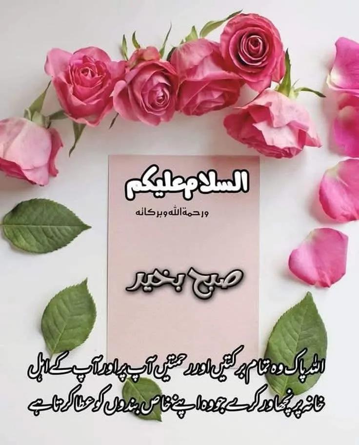 irzaa🇰 🇭 🇦 🇳 (@IrzaaK) / Posts / X