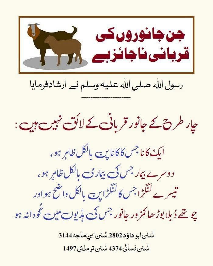 #Islamicbooks_education