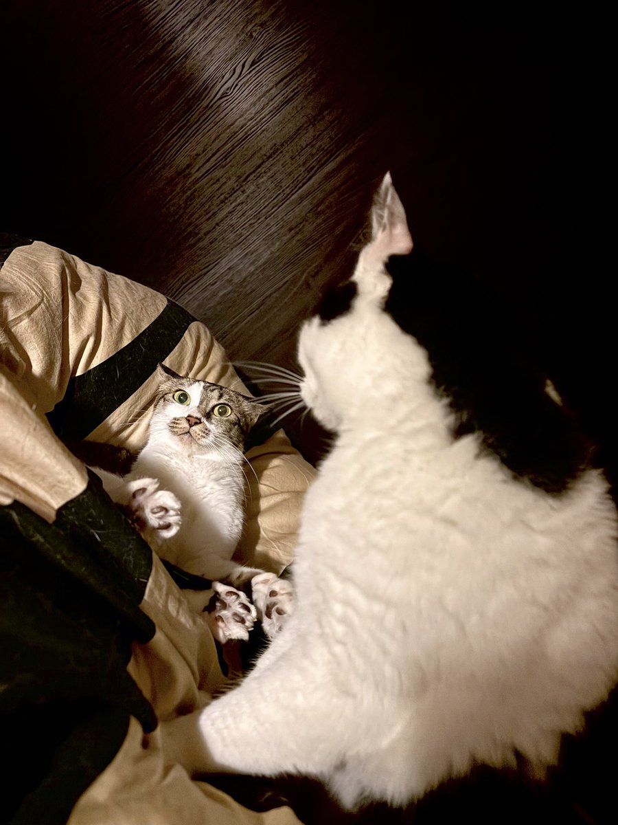 にちよーーーーーーーび