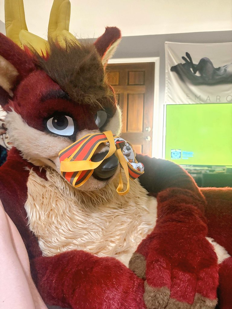 pet me harder. 🔞 tweet media