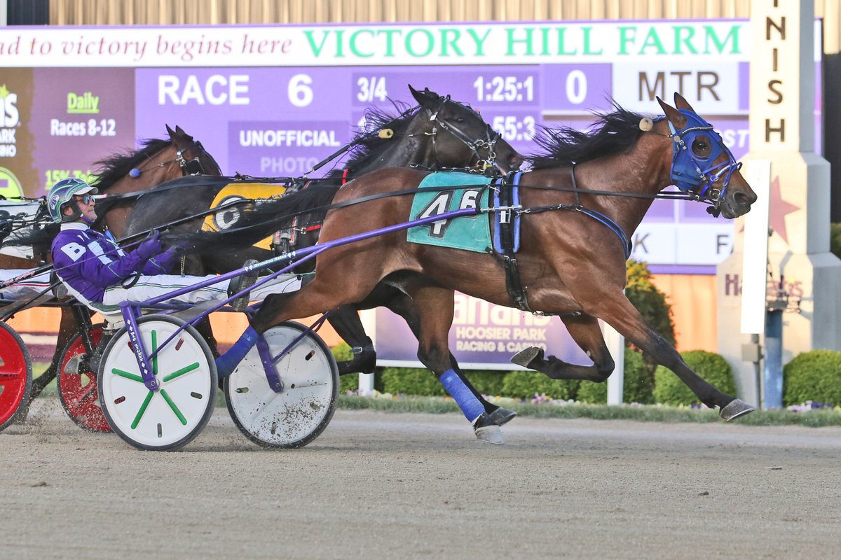 HoP_Racing's tweet photo. Congratulations to the connections of Drink Up Drink Up winning the $22,000 Open Trot! #PlayHP

📸@harnessindiana https://t.co/guzVqXeUqv