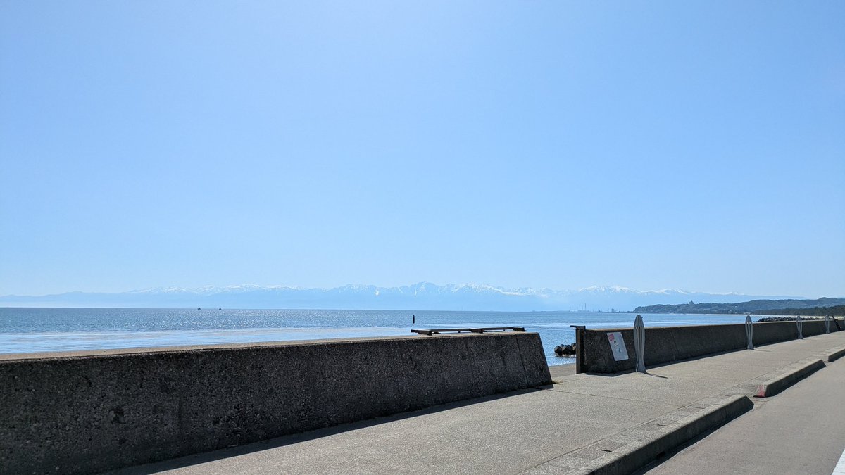 シャワさん tweet media