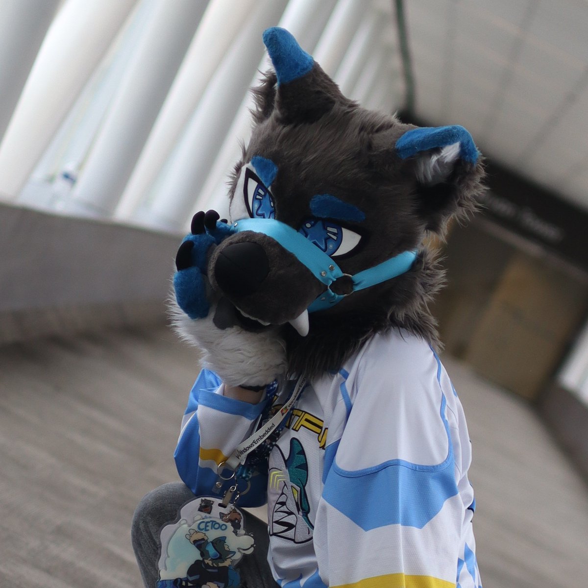Cetoo_22's tweet photo. New pfp!! 
📷@BoosterDawg https://t.co/8NqPx3Roob