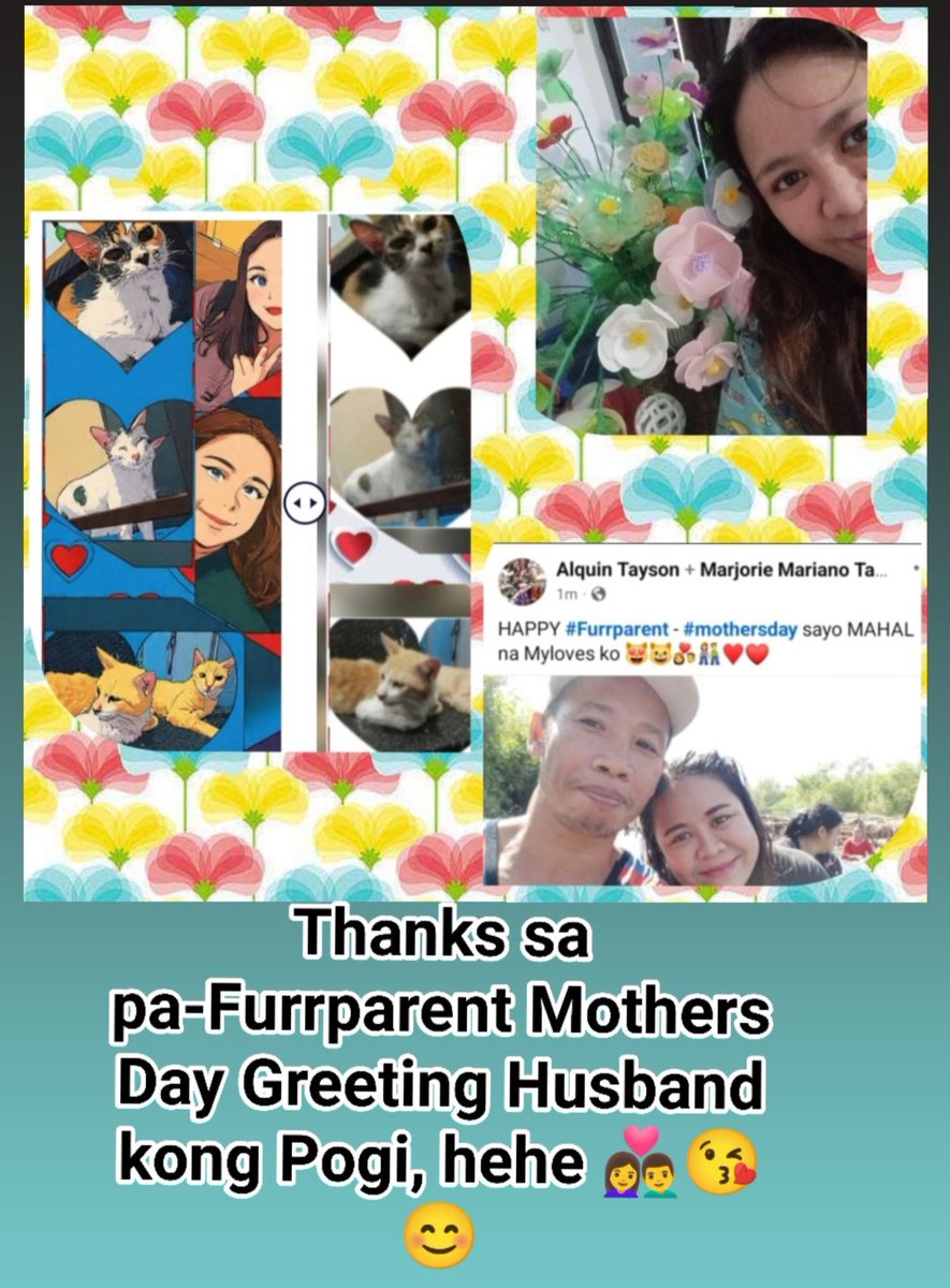 marrjorriee's tweet photo. #Furrparent #MothersDay https://t.co/7aMcFLGs4c
