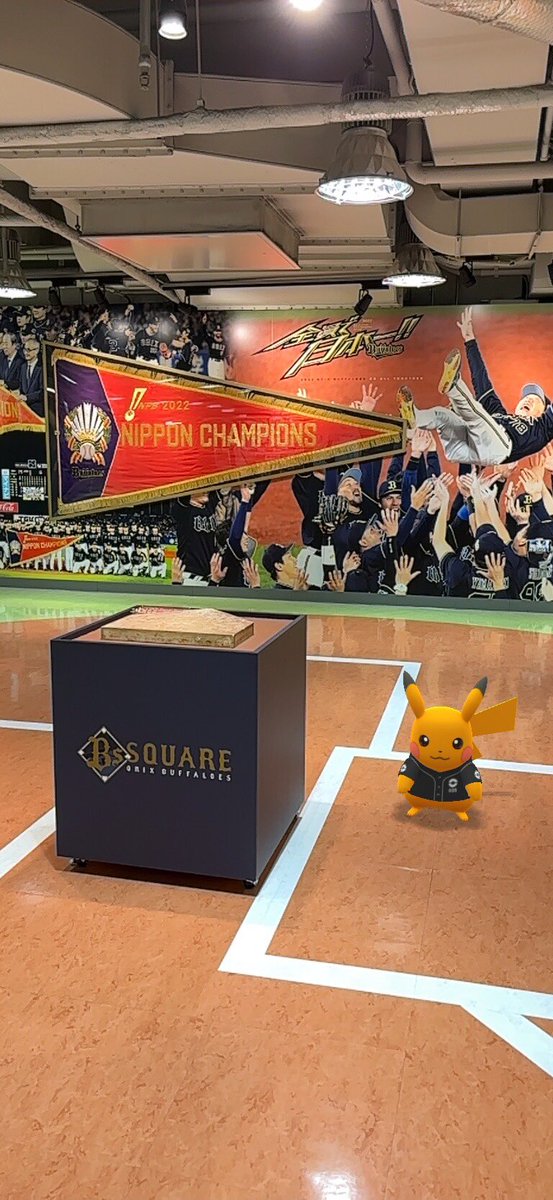 leaf_chann's tweet photo. 京セラ参戦してきました✨
背景つかへんかったけど色ピカ���
産前のイベント参加はこれが最後かな〜
産後どうなるかわからんけどまたポケ活できるといいな〜 https://t.co/o4mCSHqcCX