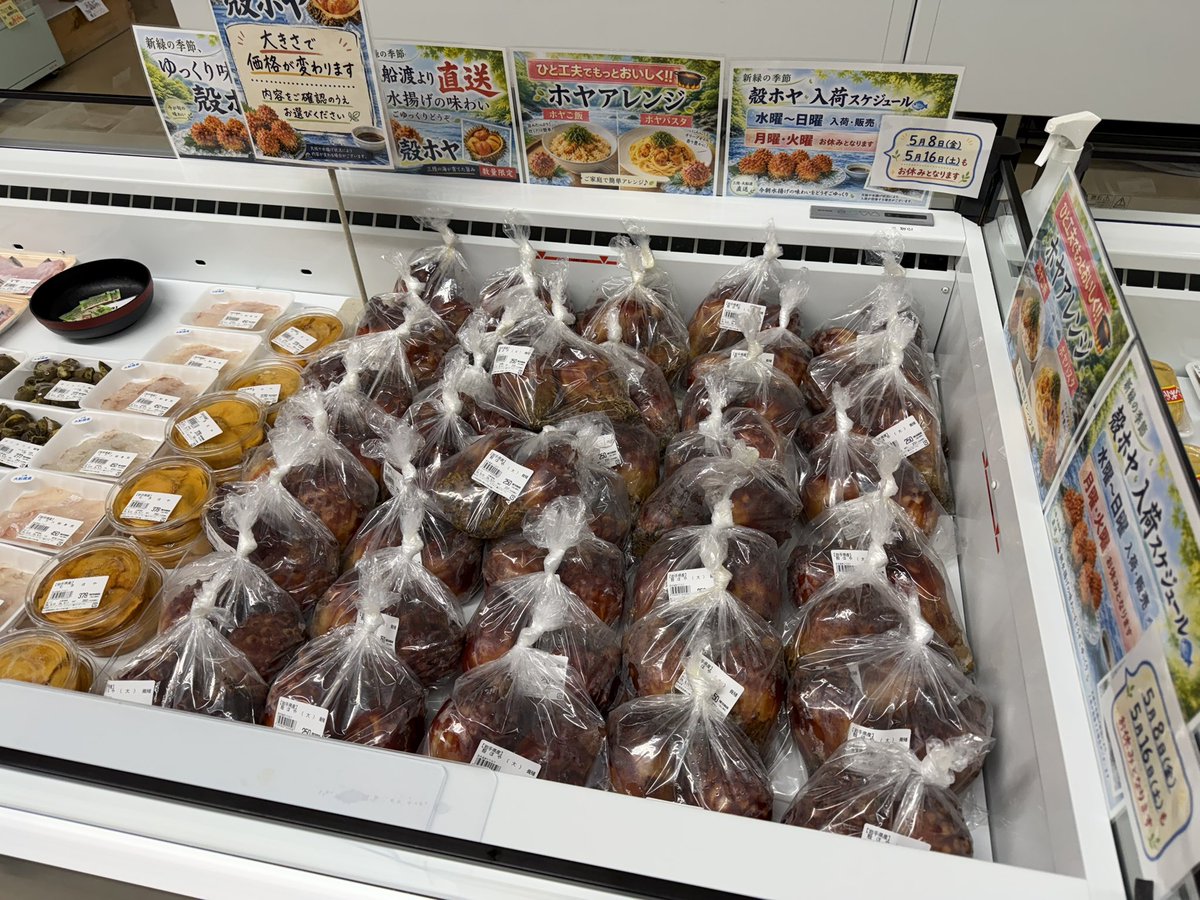 おさでいくん まとめ売り さかなややーです おはようございます☀️｡° ◇本日10日(日)も ホヤ