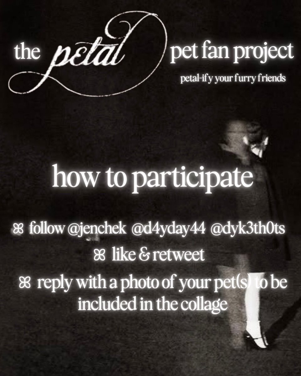 jam | PETAL IS COMING ꕤ tweet media