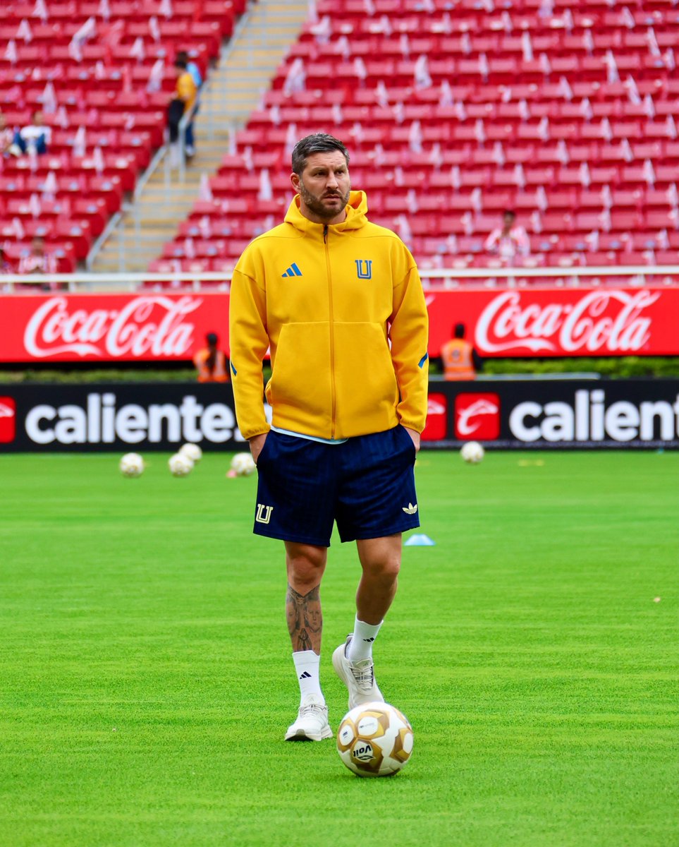 Club Tigres 🐯 tweet media