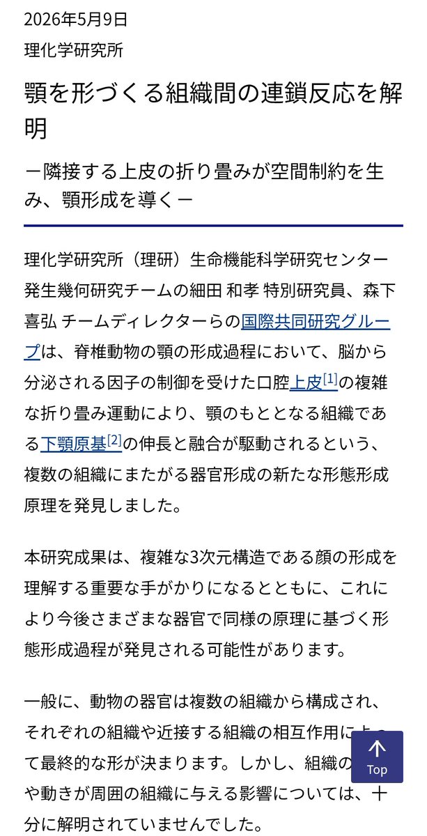 医療Next のぼたけ tweet media