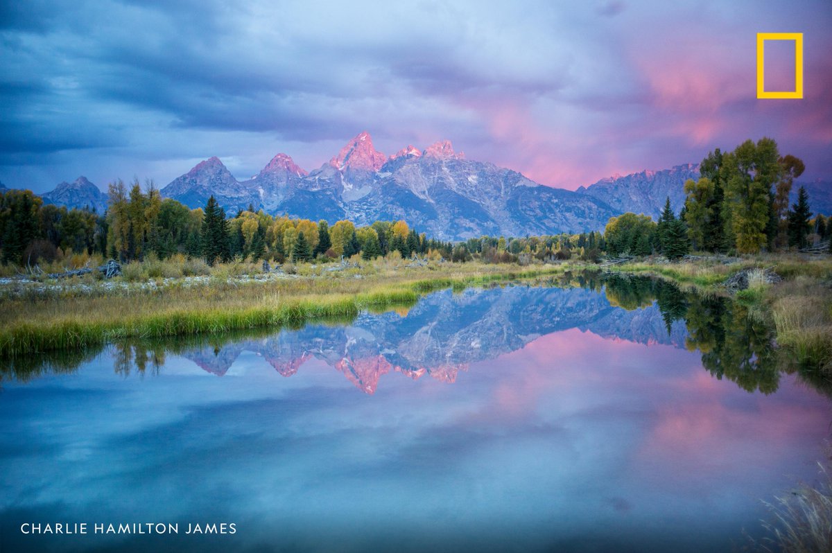 National Geographic tweet media