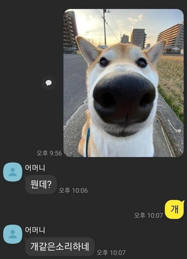 클 tweet media