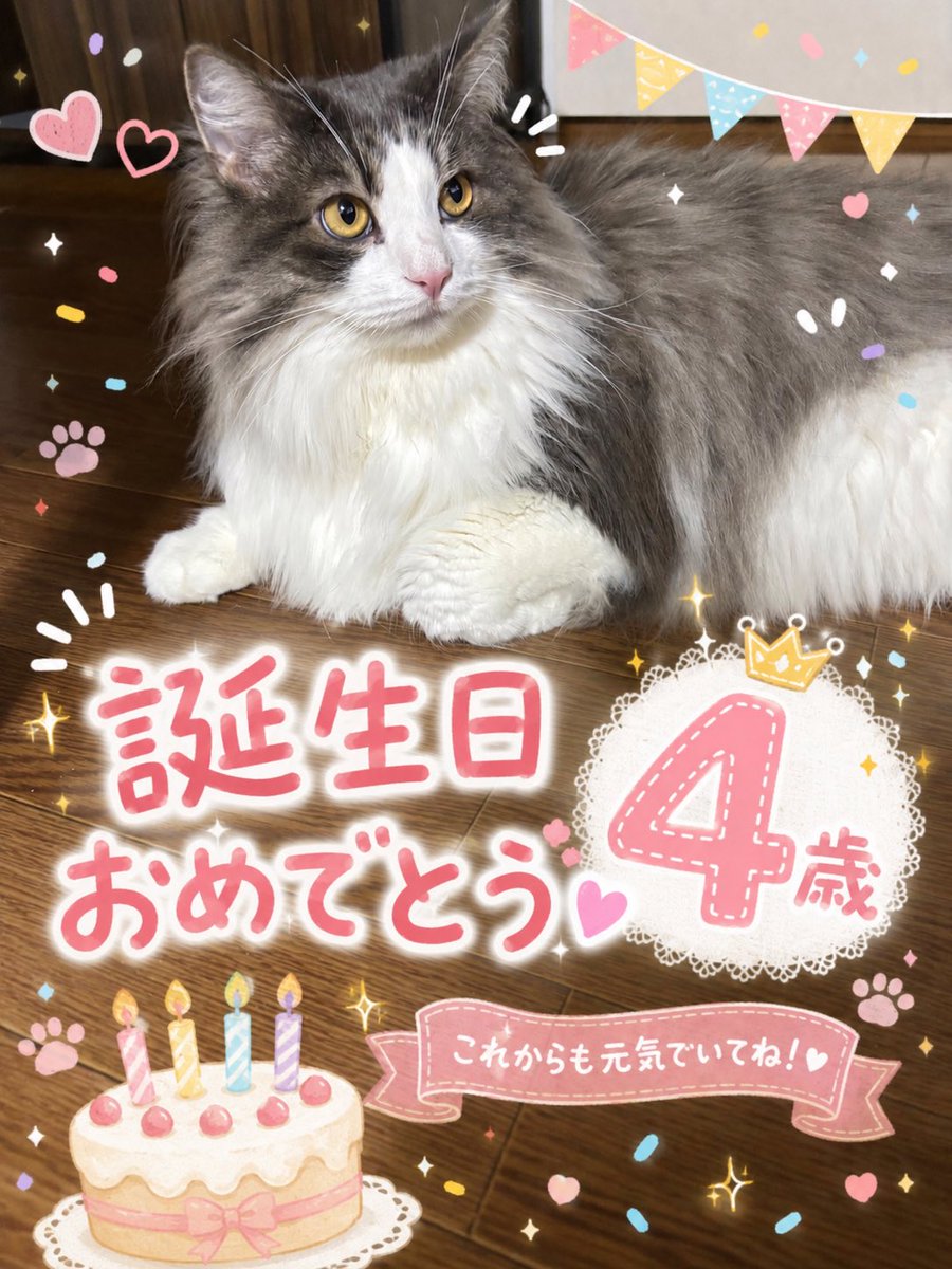 ぽんこ ぽんこ (@ponko119) / Posts / X