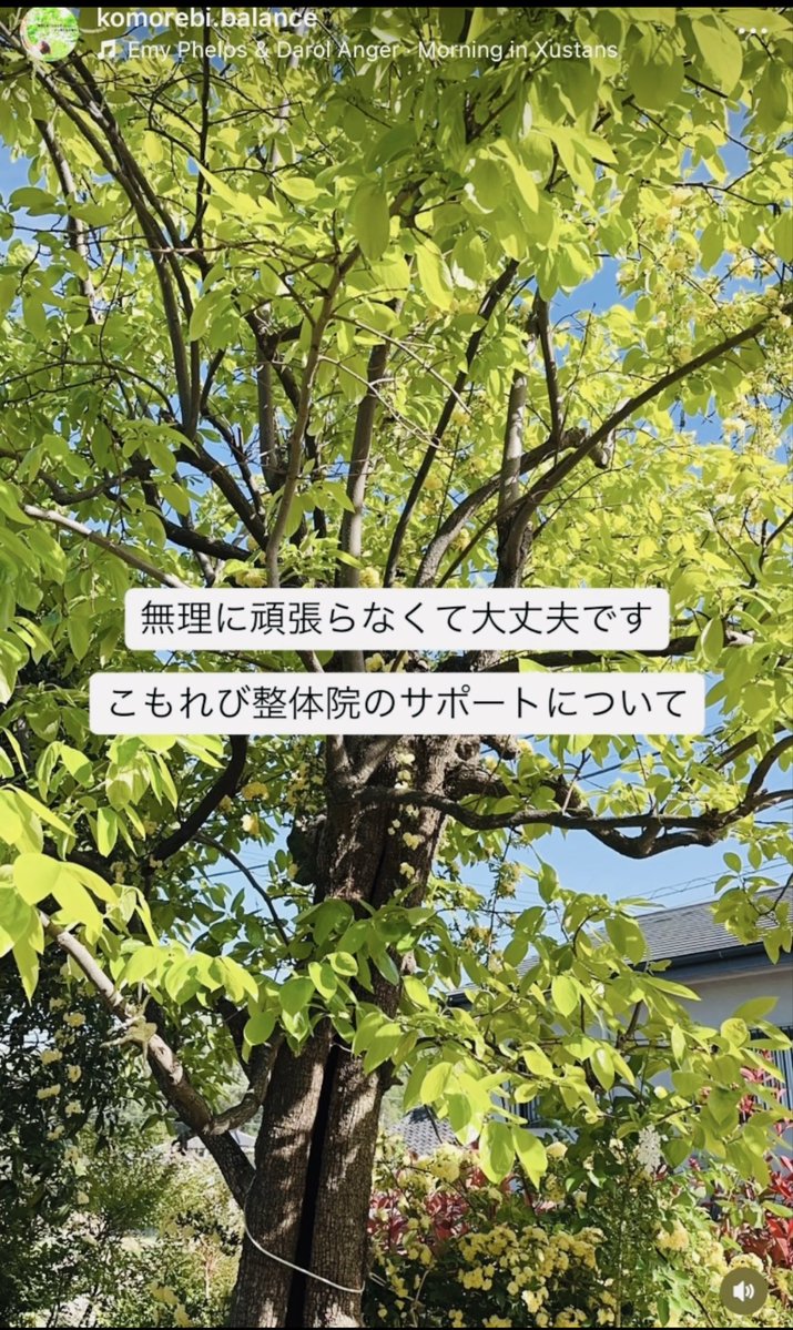 HSP改善専門|こもれび整体院 tweet media