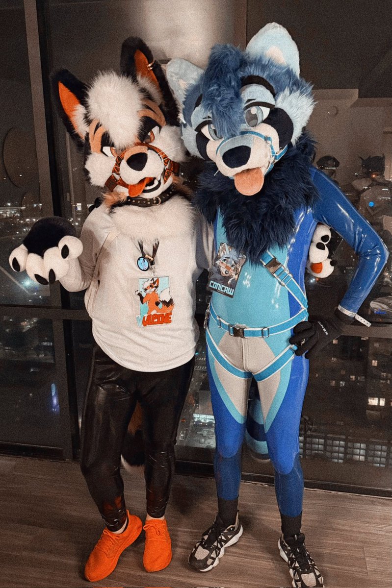 Fox 🦊🔜 🇹🇭 TFS AC tweet media