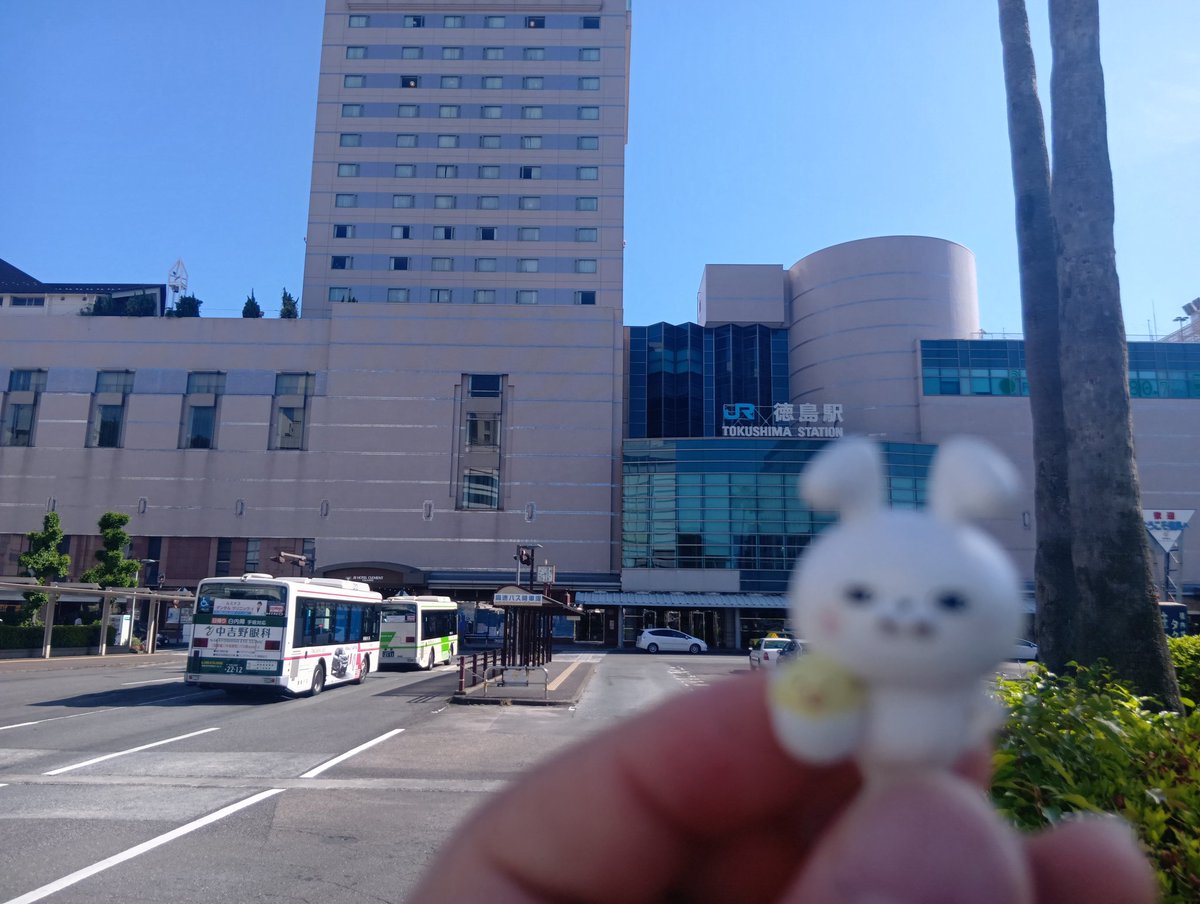 JASNGK2000's tweet photo. 旅の予定を変更して、2028年撤退予定の南海フェリーで徳島へ。久し振りの船旅にうさぎさんもご満悦。
早速徳島ラーメン🍜を食べて初日は終了。 https://t.co/MrNU8DPoxJ