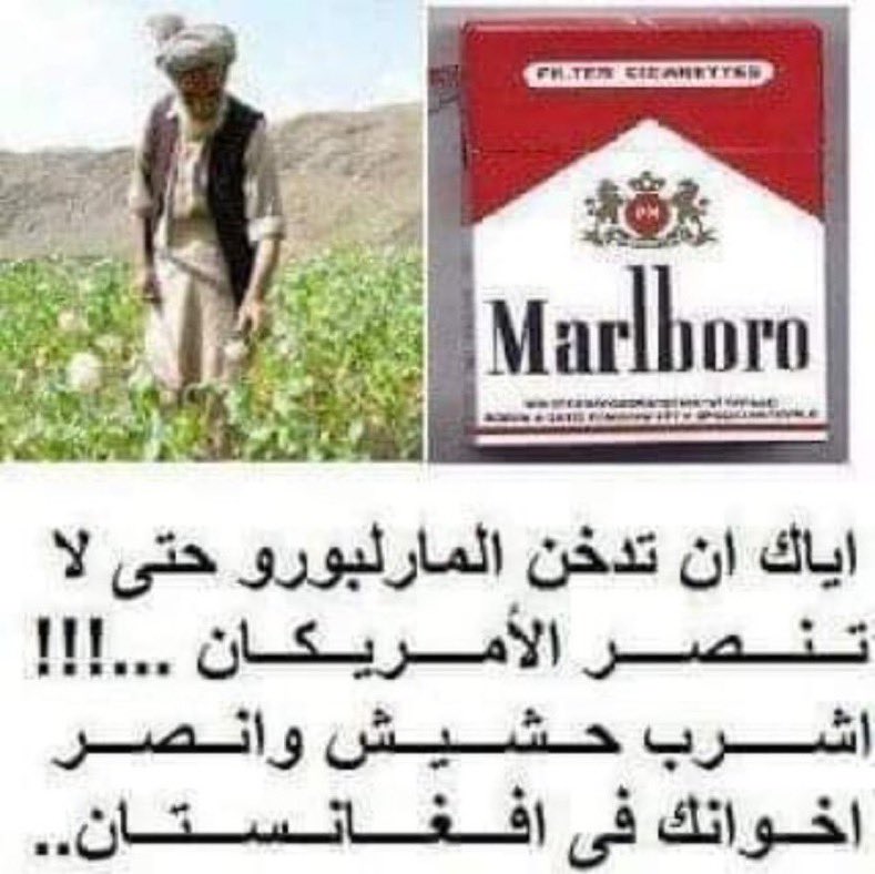 أبو يزيد بن معاوية tweet media