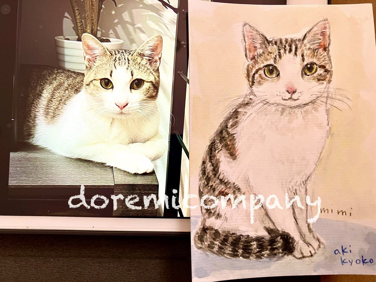 静岡ねこあるき🐈🐈‍⬛ 楽しかった余韻に浸りながら 少し宿題をしてみ