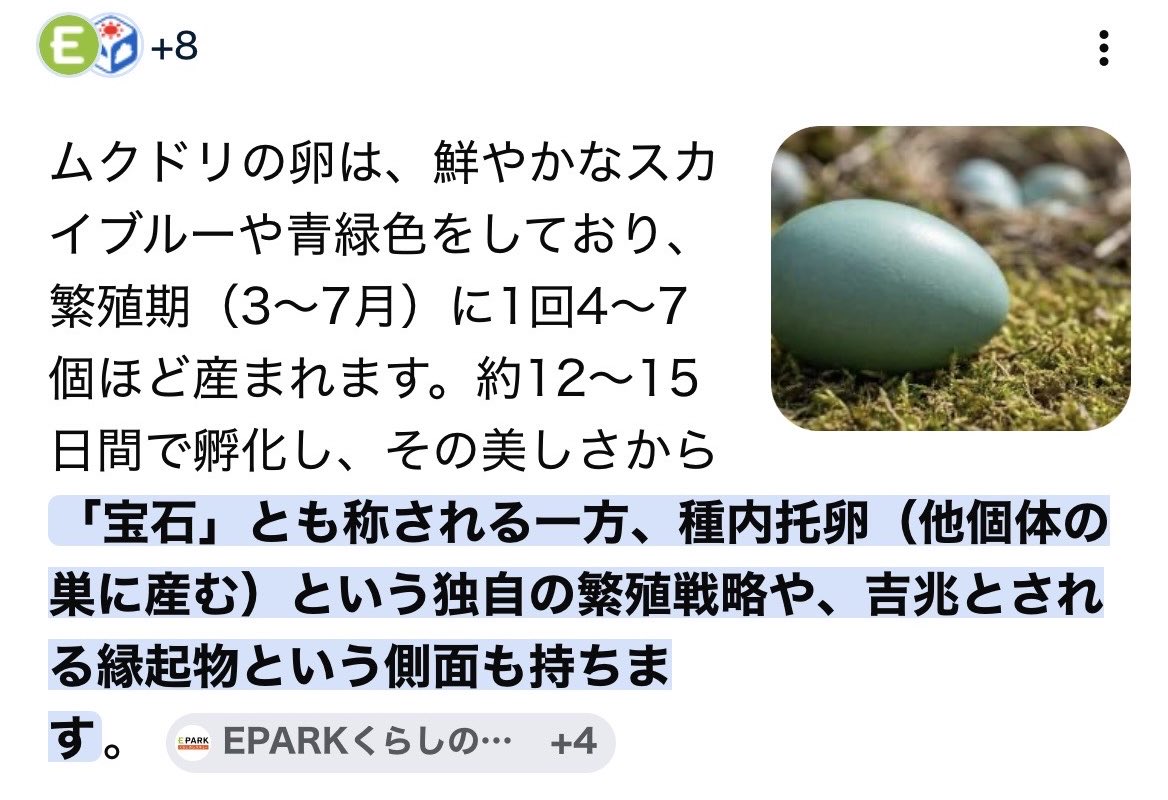 TAKA tweet media