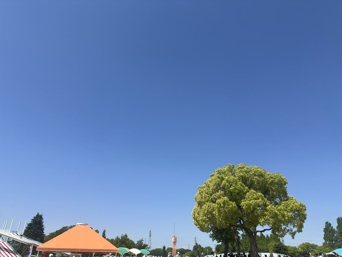 いい天気☀️