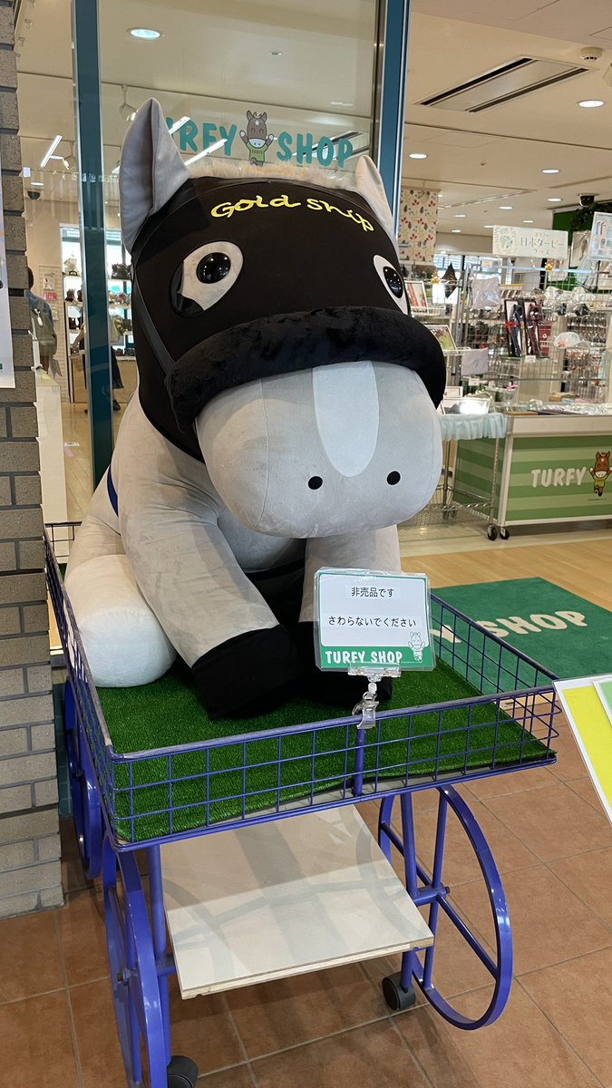 【中古】 馬券的中のカギはこれだ！！ ちょっと中山競馬場に寄って前売りで馬券をば。