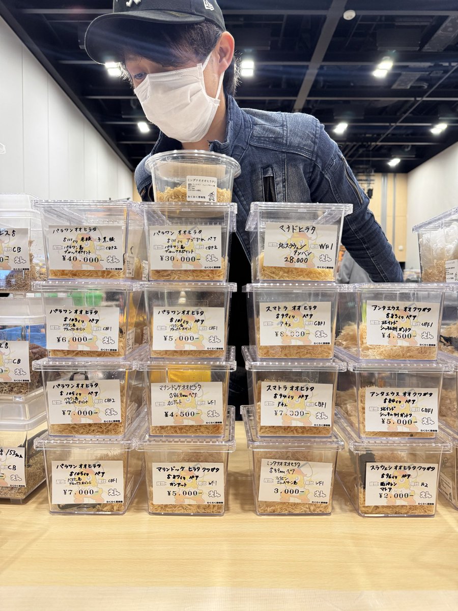 椚屋:Jɐɔʞ tweet media
