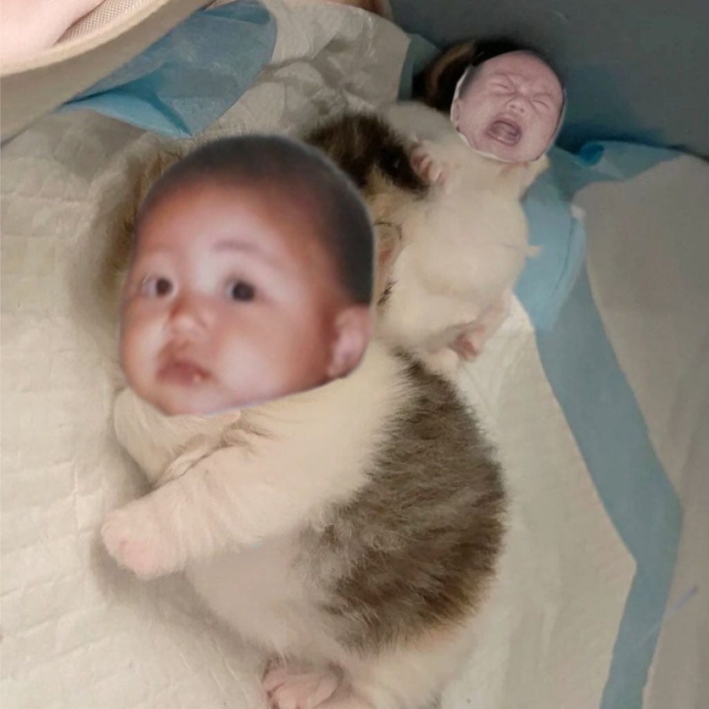 wonbin edits tweet media