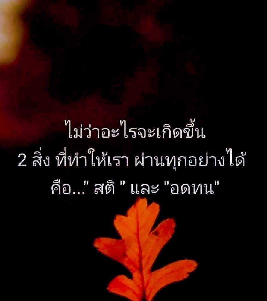 ดร.มะลิ อิงสุข tweet media