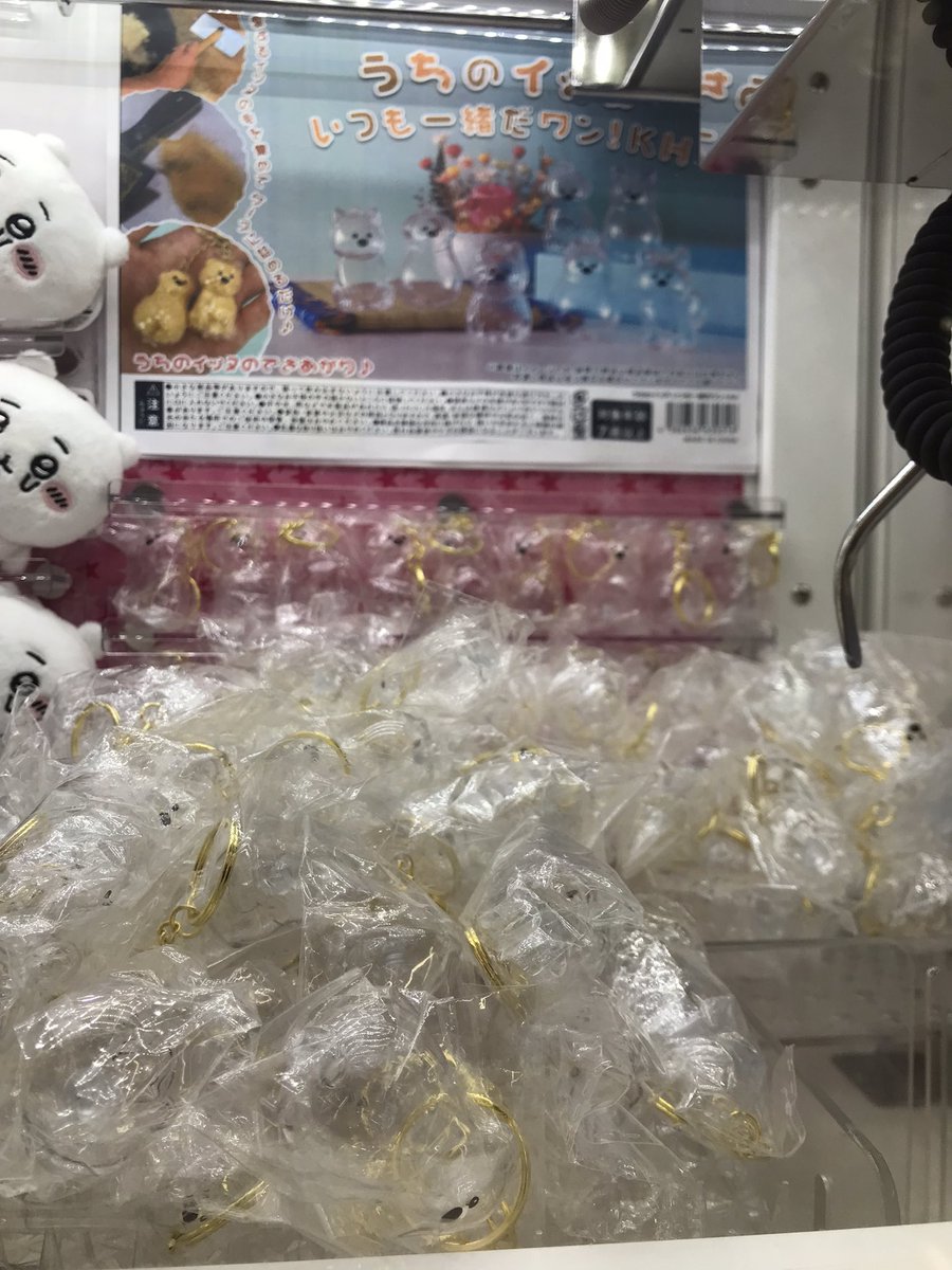 TSUTAYA追浜店 tweet media