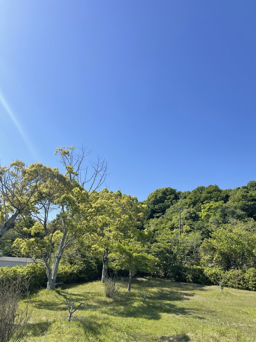 SunVittan's tweet photo. おはようございます☀

・リスニング復習
・リーディング復習
・単語

・朝活済み
(7時半開始　今週のノルマほぼ達成で気が抜けた)

ウォーキング🚶🚶‍♀️ランニング🏃‍♀️🏃🏃‍♂️済み
(いや〜日差しがきつく暑いですが、空気はまだ冷たい🧊んですよね) 

#既出5Rを解く会
#TOEIC
#英語 https://t.co/I0ZyXj2K2Z