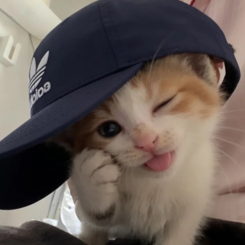 nong jyani ✅✅