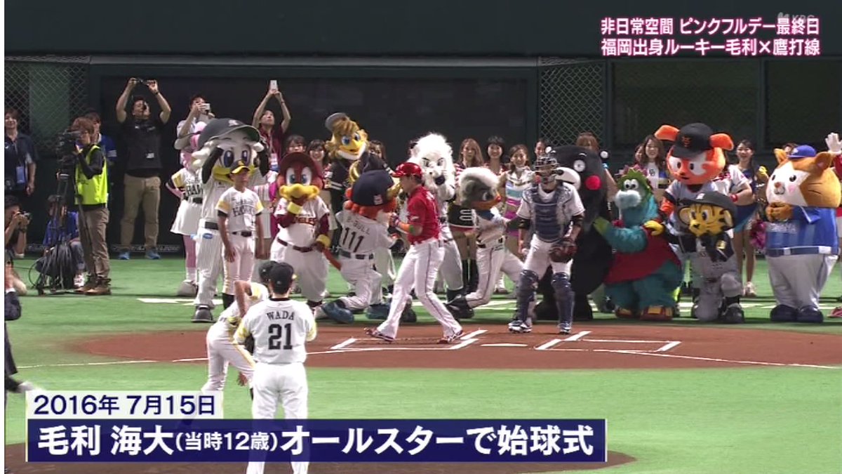 イカすばい! tweet media