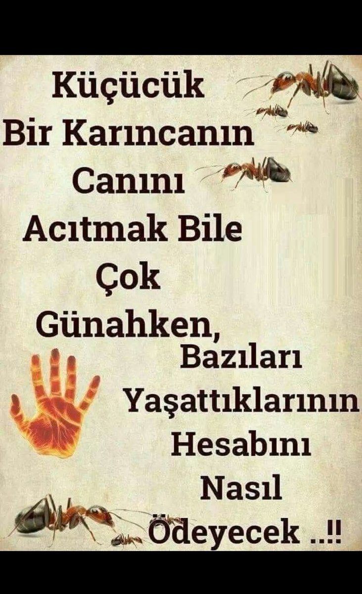 ES-SABUR ( CELLE CELALÜHÜ ) tweet media