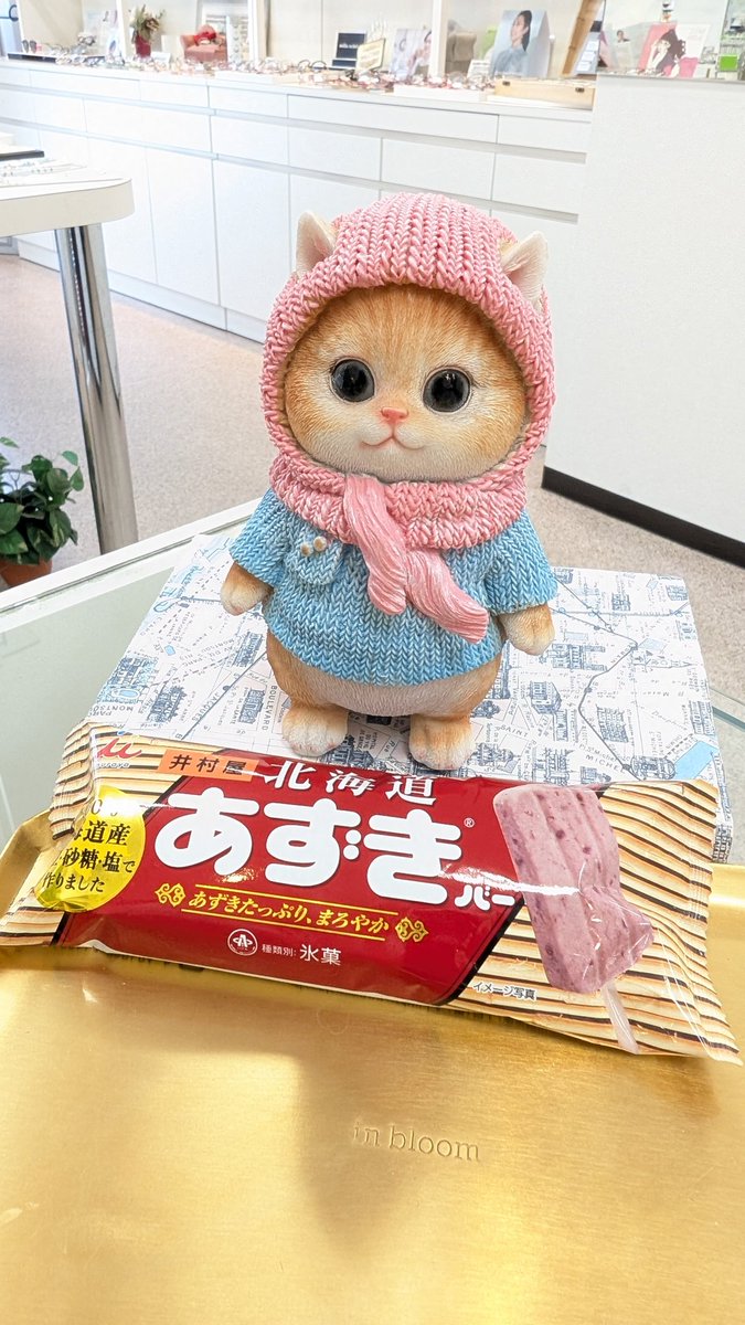 Msweet007's tweet photo. お～いそろそろ暑いやろ？そのコスプレとりあえずお疲れさん🙇ささやかやけど差し入れやで、わかってると思うけど歯折んなよ！あんたの場合は歯医者ないからね！とマスコットに話かけるぐらい静かな店内で〜す😅
#夏日 #暑い #あずきバー 
https://t.co/p76cxbbXkO https://t.co/S1gzoJR4Cv