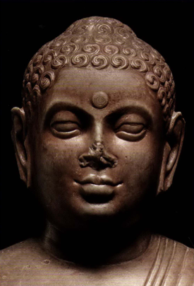 Dhamma Rhymes tweet media