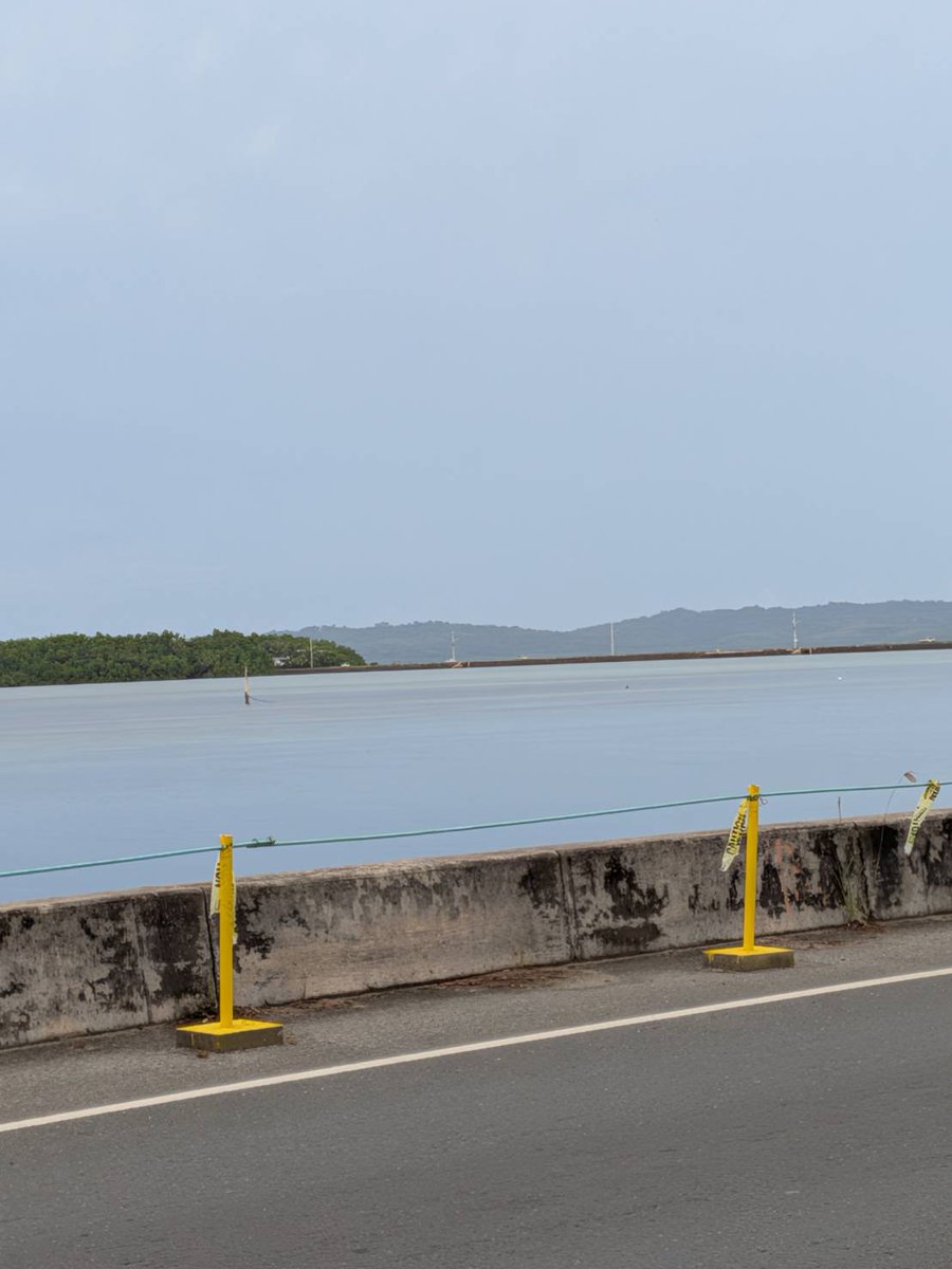 すらいさん❤専用ページ 今海外旅行でパラオに行ってる友達が写真送ってくれたけど先週行った