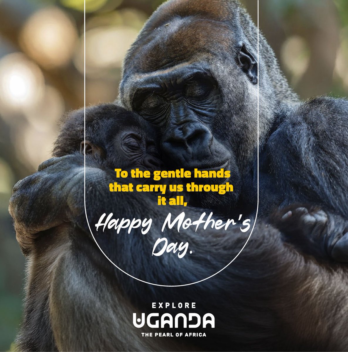 Explore Uganda 🇺🇬 tweet media