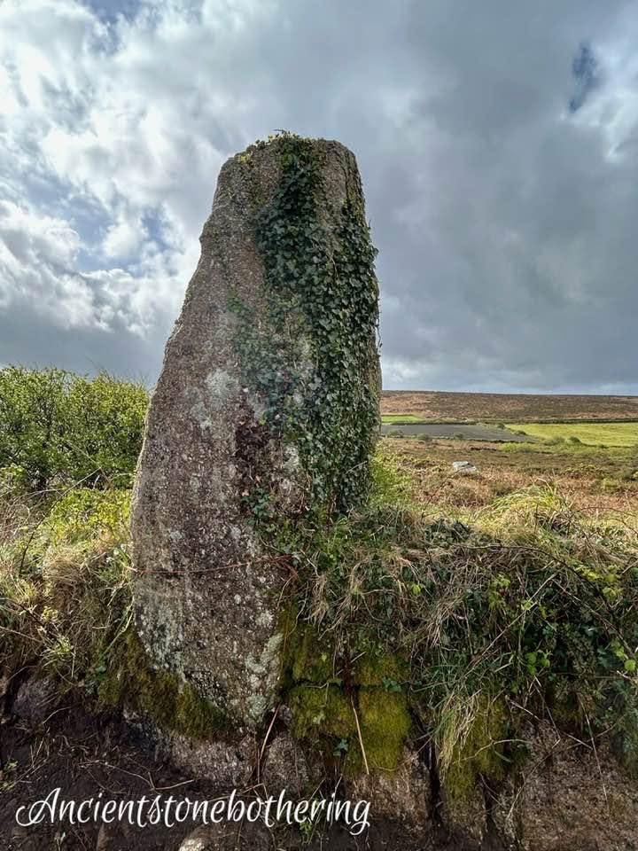 Ancient Stone Bothering tweet media