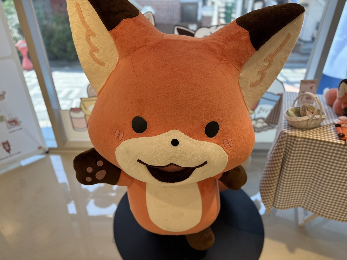 홍비 (엑스포 토) ☺💗 tweet media
