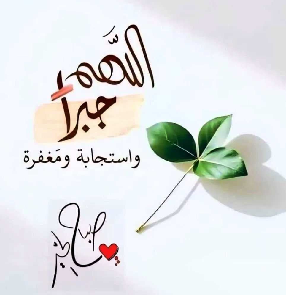 نجــــم🎖️ tweet media