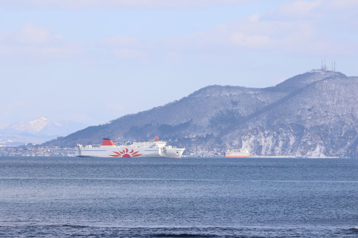 渡島北斗のテツ tweet media